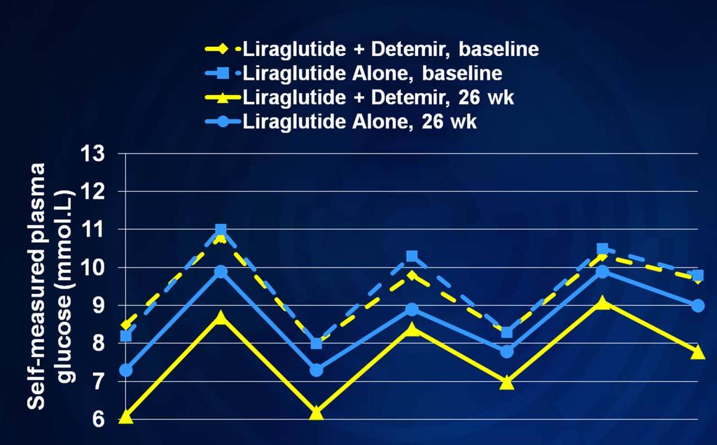 Liraglutide Plus Metformin, With and Without Detemir: Self-monitoring Glucose