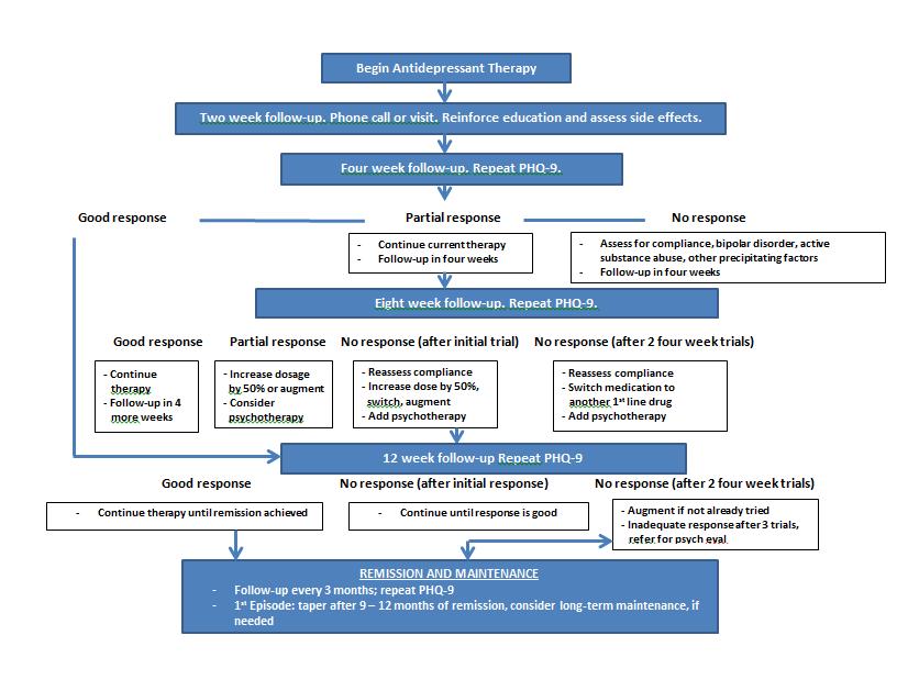 Measurement Algorithm Adapted from Intermountain 2015 Depression