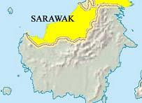 Microscopy-confirmed malaria cases in 1999 Sarawak Kapit P. vivax 2,030 (64%) 414 (76%) P. falciparum 786 (25%) 20 ( 4%) P.