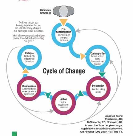 TRANSTHEORETICAL MODEL OF CHANGE Research shows that people tend to go through similar processes when they make changes in their lives, and that this process can be conceptualized in a series of