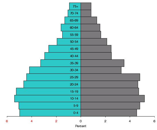 Figure 3.1 Population pyramid (household population) for Maharashtra, 2003 Male Female 3.1.3 EDUCATIONAL STATUS The educational status of household population in ages six and above is presented in Table 3.