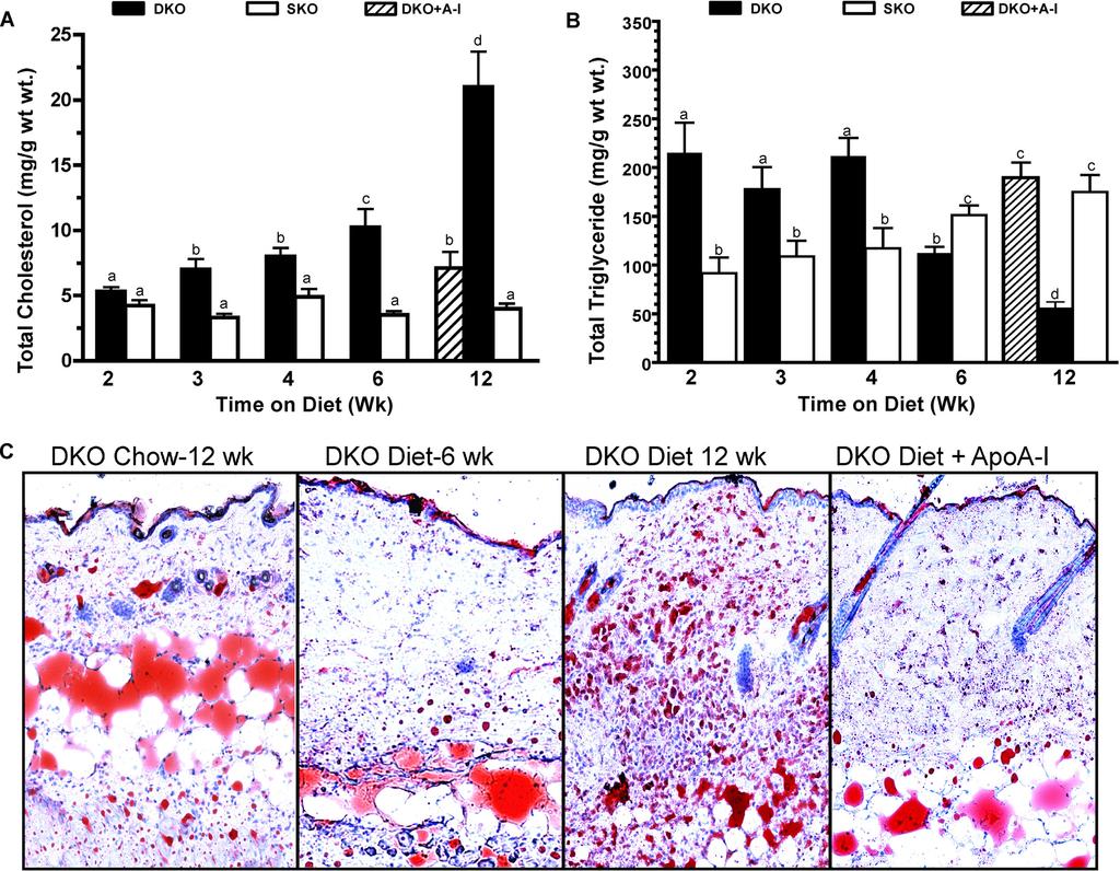 ApoA-I Modulates Inflammation and Lipid Accumulation FIGURE 6. ApoA-I treatment restores skin neutral lipid content. Panel A shows total skin cholesterol content expressed as mg/g wet weight.