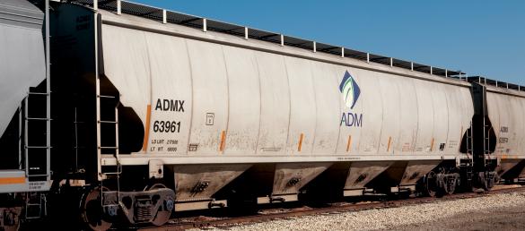 RELIABLE, QUALITY INGREDIENT SOLUTIONS CONSISTENT, QUALITY INGREDIENTS At ADM, we know that quality control doesn t begin in the feedmill; it begins with the ingredients used to formulate feeds and