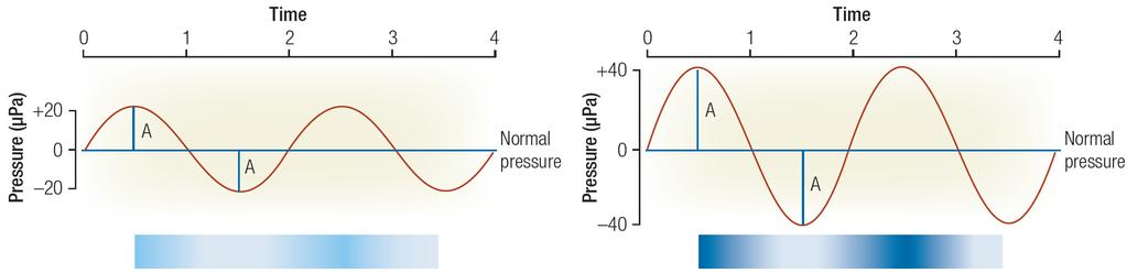 Frequency measured in cycles/sec = Hertz (Hz) Nominal range of sensitivity: 20 20,000 Hz Sound Wave: Amplitude and Frequency (Hz) Sound Pressure is measured in units called