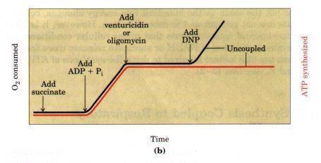 There are lipid soluble (weak acid compound )which can penetrate the lipid bilayer.