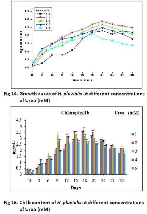 Effect of different concentrations of NH 4 Cl Haematococcus pluvialis survived in the medium amended with different concentrations of NH 4 Cl chosen. The organism grew well of 2.0mM, 3.0mM, 4.