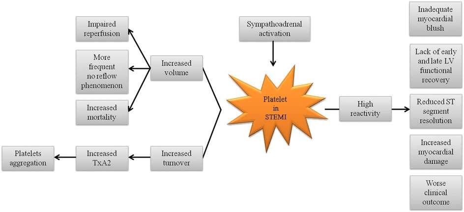 Activation of platelets in STEMI and mechanisms influencing