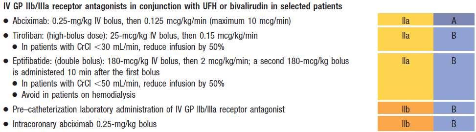 Adjunctive Antithrombotic Therapy to Support Reperfusion With Primary