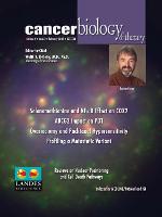 Cancer Biology & Therapy ISSN: 1538-4047 (Print)