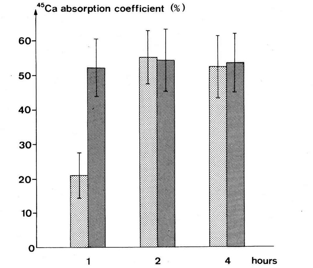 proximal loop was significantly higher than in the distal loop, after a 4-h treatment (P about 0.02). Time-course of intestinal calcium absorption.