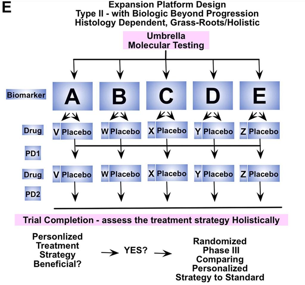 Next Generation Clinical Trial Design Frameworks PANGEA-BBP The only biomarker-driven trial to address intra-patient tumor heterogeneity over time due to resistance in sequential fashion Sequential