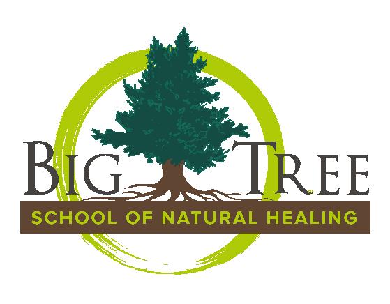 , LMT, Founder Big Tree School