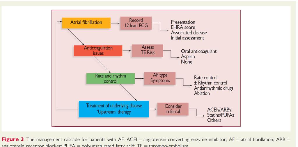 The Management Cascade for patients with AF