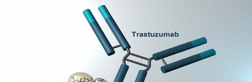 Trastuzumab DM1 (T DM1), a HER2 Antibody Drug Conjugate Maytansine analogue DM1 (antitubule akin to