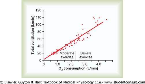 Ventilatory Equivalents.... V E /VO 2 V E /VCO 2 Effect of exercise on oxygen consumption and ventilatory rate.