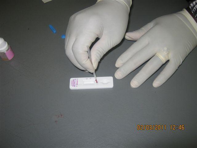 Transfer 5µl of blood from the pipette