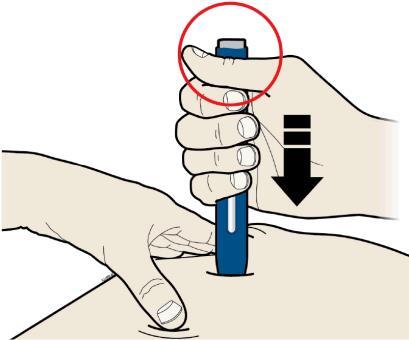 Do not touch the gray start button yet. 3B Firmly push down the autoinjector onto the skin until it stops moving.