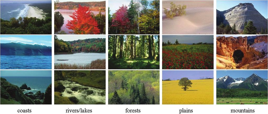 Article 19 / 4 J. Vogel et al. Fig. 2. Exemplary images of each category. extended to the categories coasts, rivers/lakes, forests, plains, and mountains.