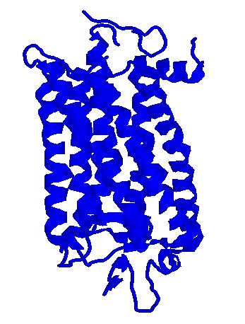 G Protein Signal Cascade A hormone (e.g., epinephrine or glucagon) that activates formation of camp or IP3, binds at the cell surface to a receptor with 7 transmembrane α- helices.
