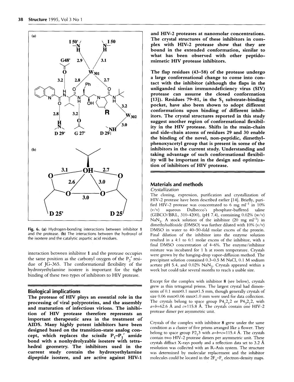38 Structure 1995, Vol 3 No 1 (a) and HIV-2 proteases at nanomolar concentrations.