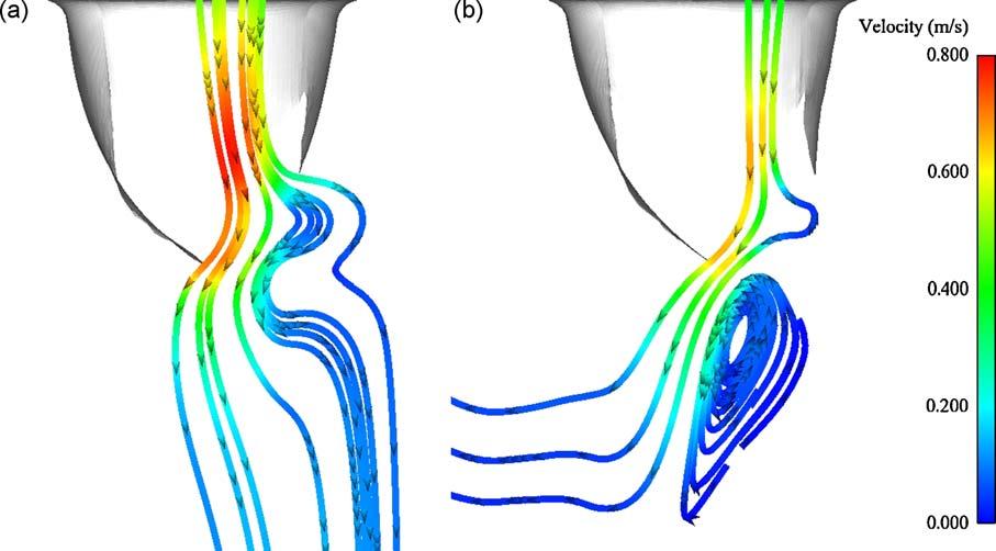 K.D. Lau et al. / Medical Engineering & Physics 32 (2010) 1057 1064 1063 Fig. 10. Fluid particle trace during valve opening at t = 685ms in: (a) the tubular model and (b) the ventricular model.