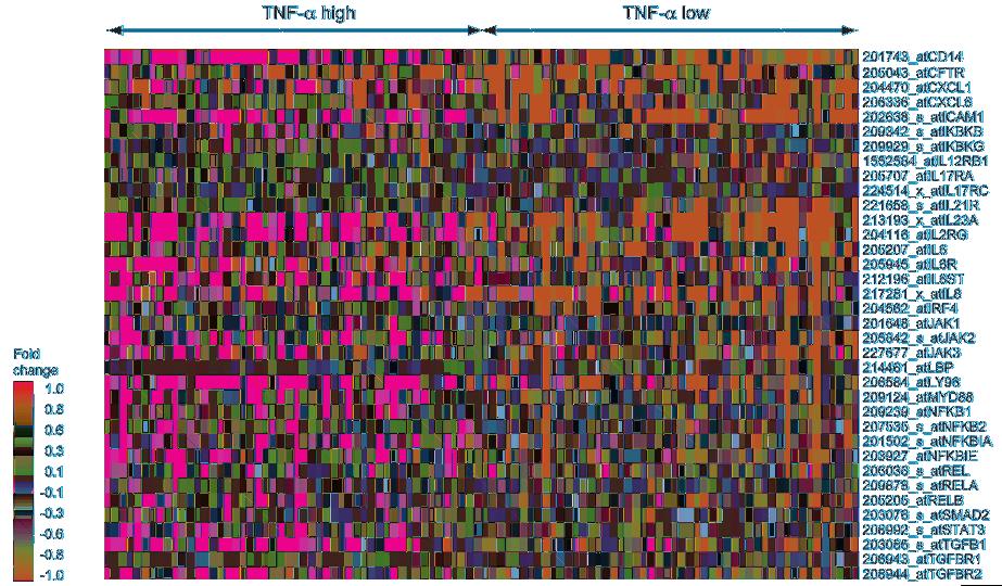 Figure 8 Gene array analysis. 285 samples of ovarian cancer data sets were ranked from low to high levels of gene expression in the TNF signaling pathway.