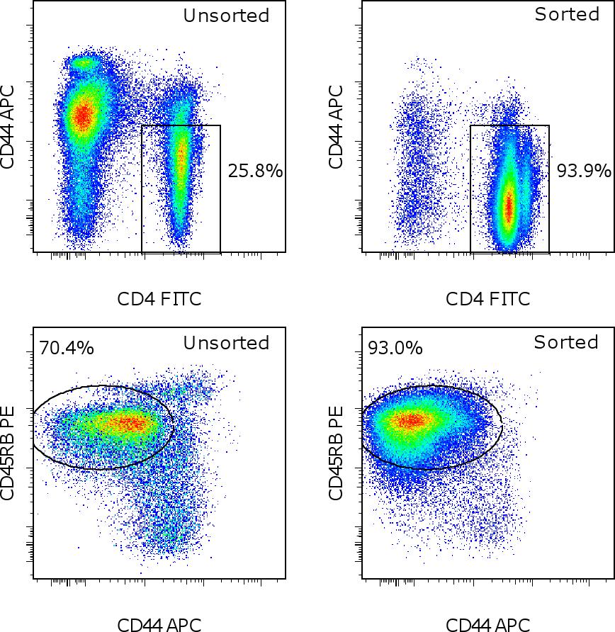 12-0455), and Anti-Human/Mouse CD44 APC (cat. 17-0441). Cells were gated on total viable cells (top) or viable CD4+ cells (bottom).