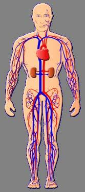 Diabetic Complications Microvascular Complications