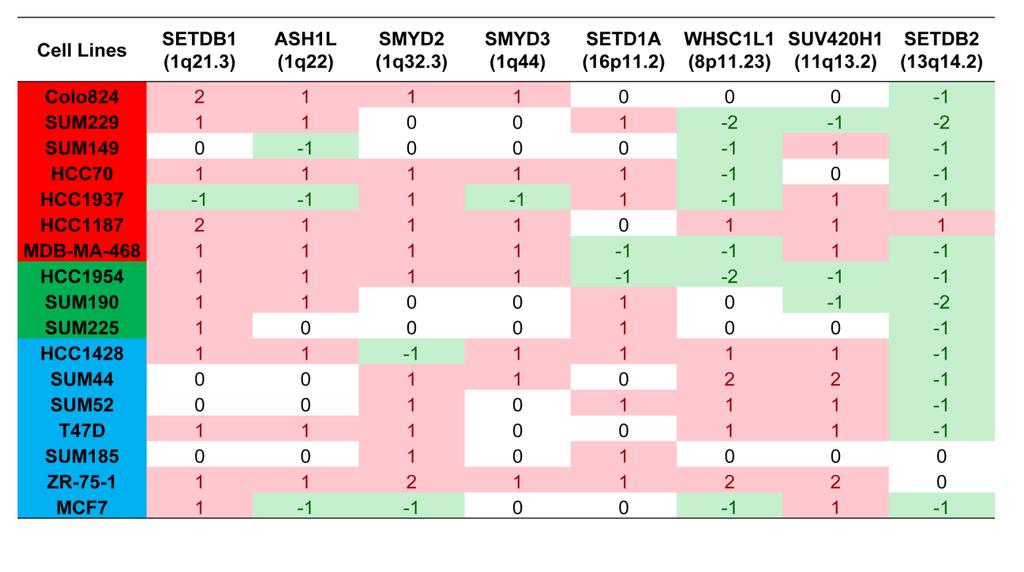 Figure S2: CNAs of eight HMTs in 17 breast cancer cell lines.