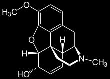 Codeine Metabolism CYP2D6