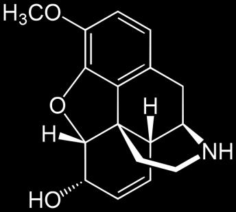 codeine (inactive) Morphine