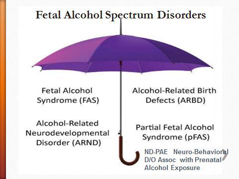 Fetal Alcohol