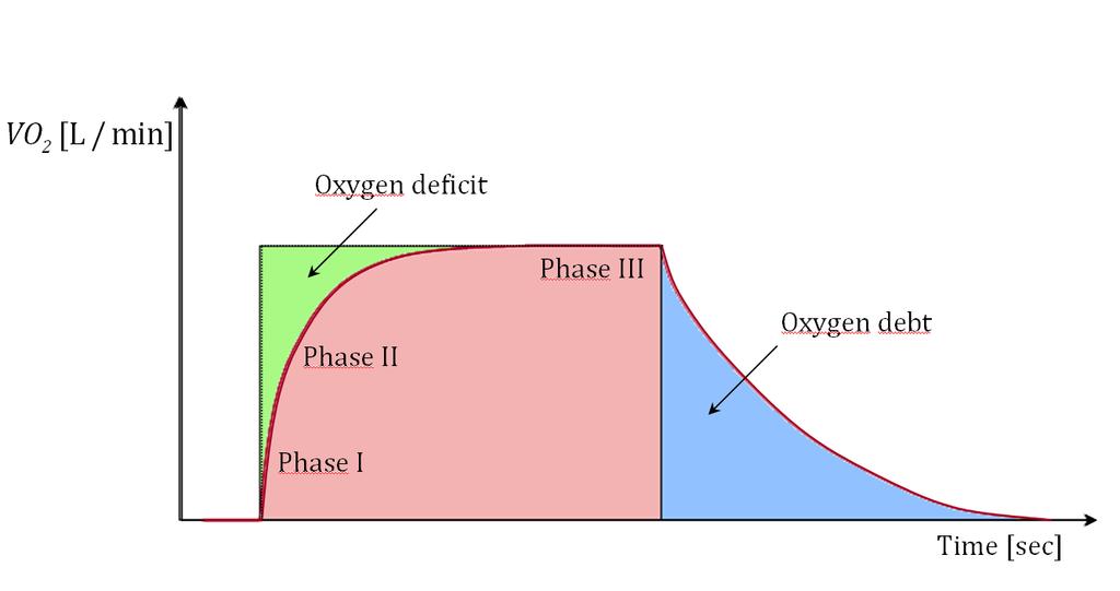Figure 2.2: The pulmonary oxygen uptake (VO 2 ) during exercise and recovery from exercise as function of time, illustrating the oxygen deficit and oxygen debt.