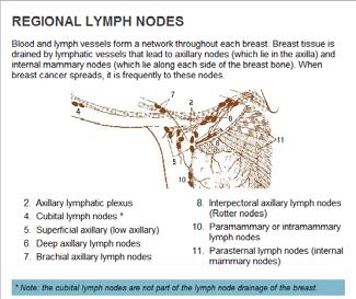 Regional Lymph Nodes Here is a diagram of the regional lymph nodes of the breast.
