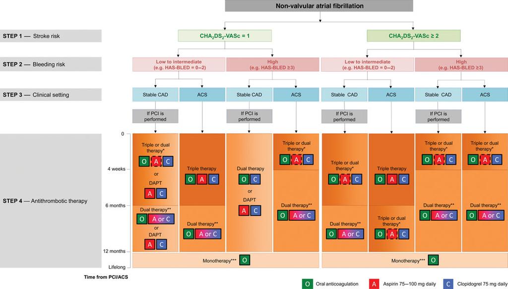 Antithrombotic management in atrial fibrillation patients with ACS/PCI 3173 Figure 1 Choice of antithrombotic therapy, including combination strategies of oral anticoagulation (O), aspirin (A) and/or