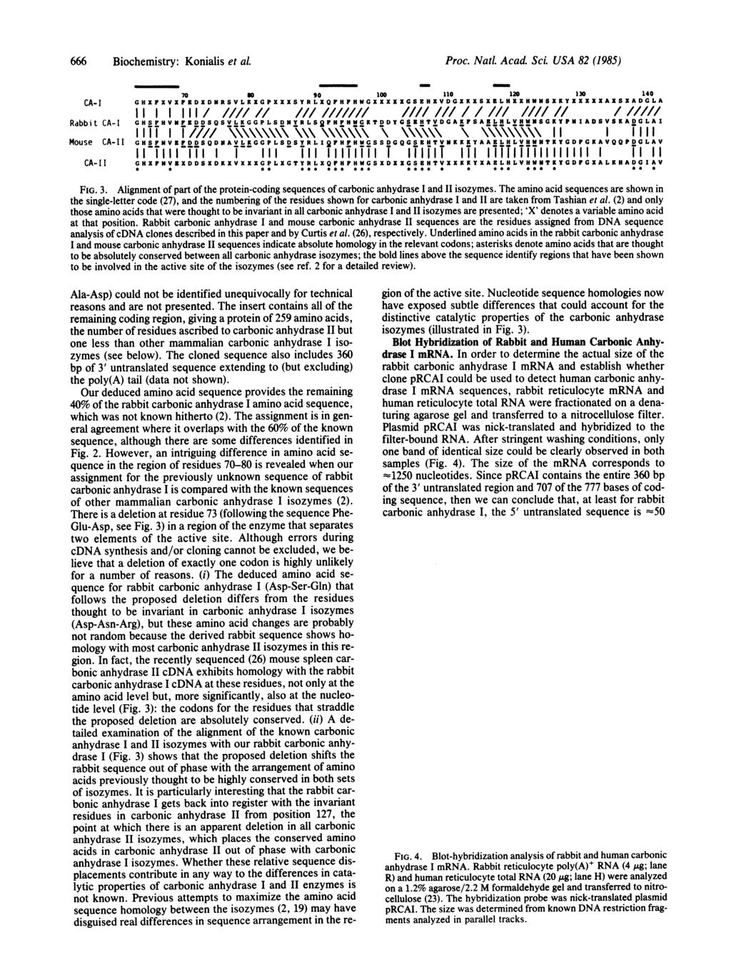 666 Biochemistry: Konialis et al. Proc. NatL Acad Sci.