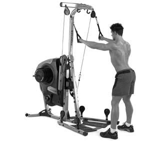 Back Exercises 47 Standing Shoulder Pullover with Hand Grips Elbow Stabilized Latissimus Dorsi; Teres Major; Rear Deltoids; Biceps; Triceps Standing facing machine.