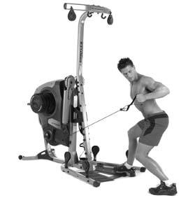 48 Back Exercises Standing Lat Row Alternating Motion-Low Pulley Shoulder extension (and elbow flexion) Latissimus Dorsi; Rear Deltoids; Biceps; Teres Major. Also hip and core stabilizers.