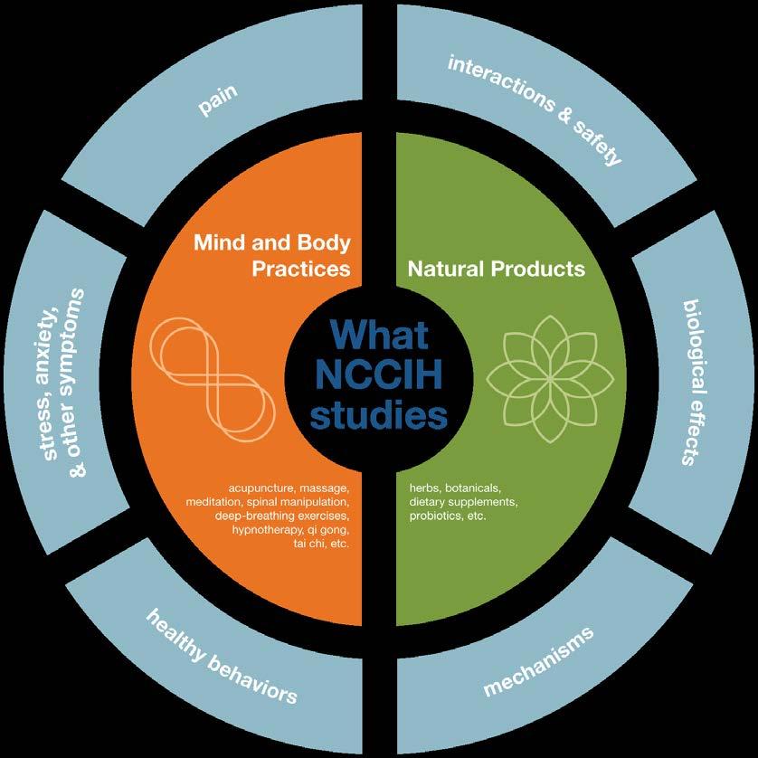 What Does NCCIH Fund?