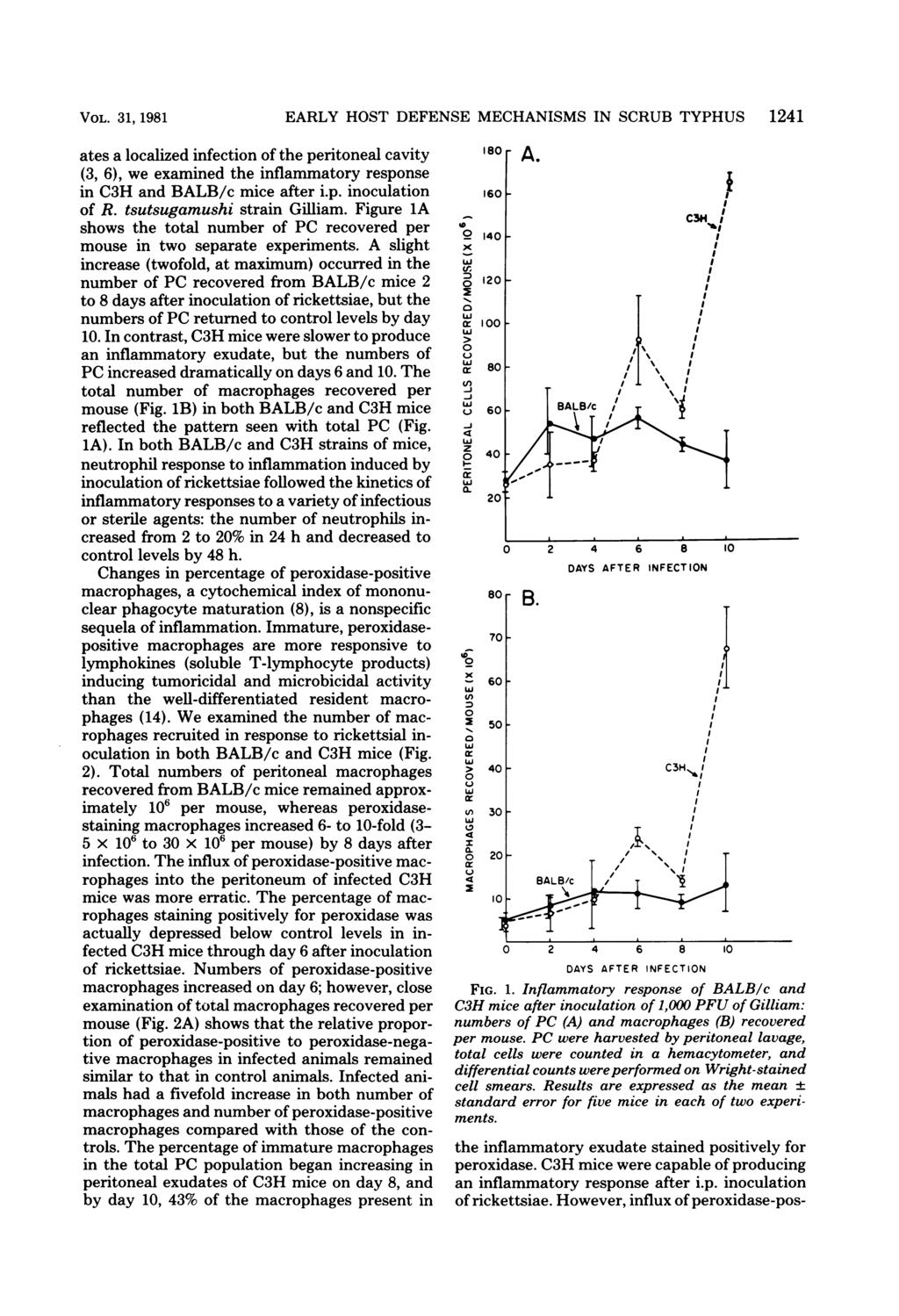 VOL. 31, 1981 ates a localized infection of the peritoneal cavity (3, 6), we examined the inflammatory response in C3H and BALB/c mice after i.p. inoculation of R. tsutsugamushi strain Gilliam.