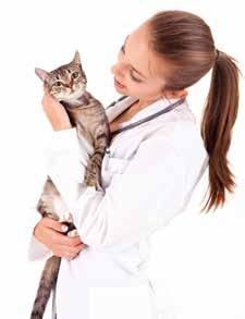 (b) debilitated and weakened older pets, and (c) to boost the health of puppies and kittens.