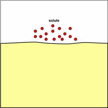 Endocytosis Substances are moved into a cell by a vesicle