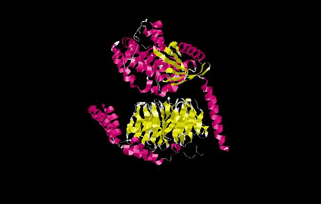The G Protein αβγ Trimer Gα β γ i1