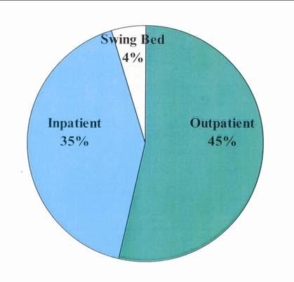 North Dakota Rural Hospitals Source of Revenue - 1998 Source: 1999 Rural Hospital Survey, UND