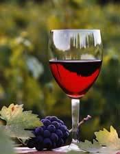 Red wine mitigates the postprandial increase of LDL susceptibility