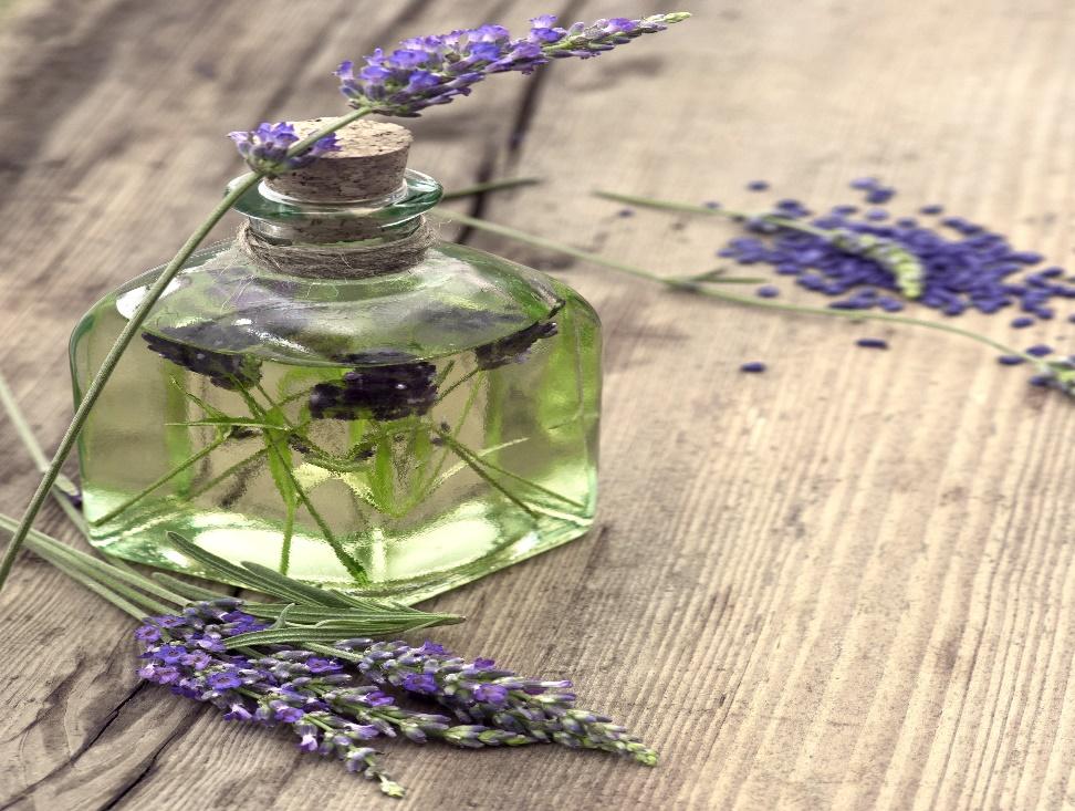 Lavender Thought to act on the limbic system, when inhaled,