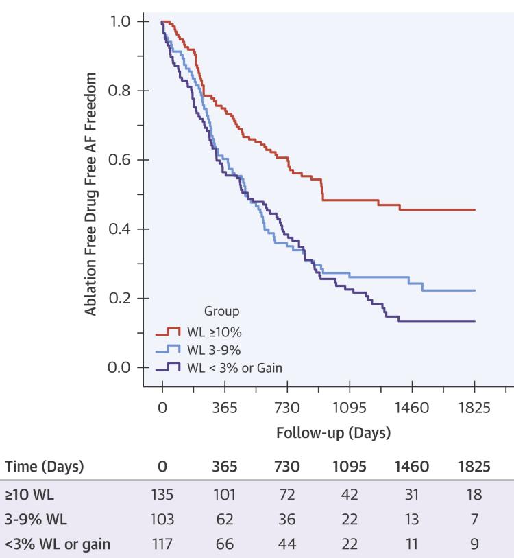 Risk factor modification and AF: Goal-directed weight loss (LEGACY trial) 1,415 patients with AF 825 (%) had a BMI