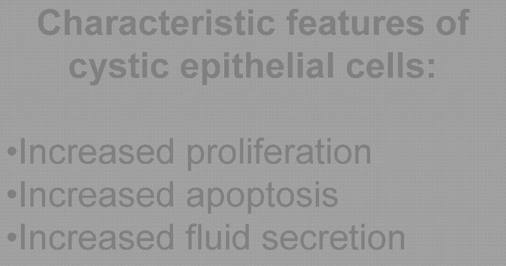 of cystic epithelial