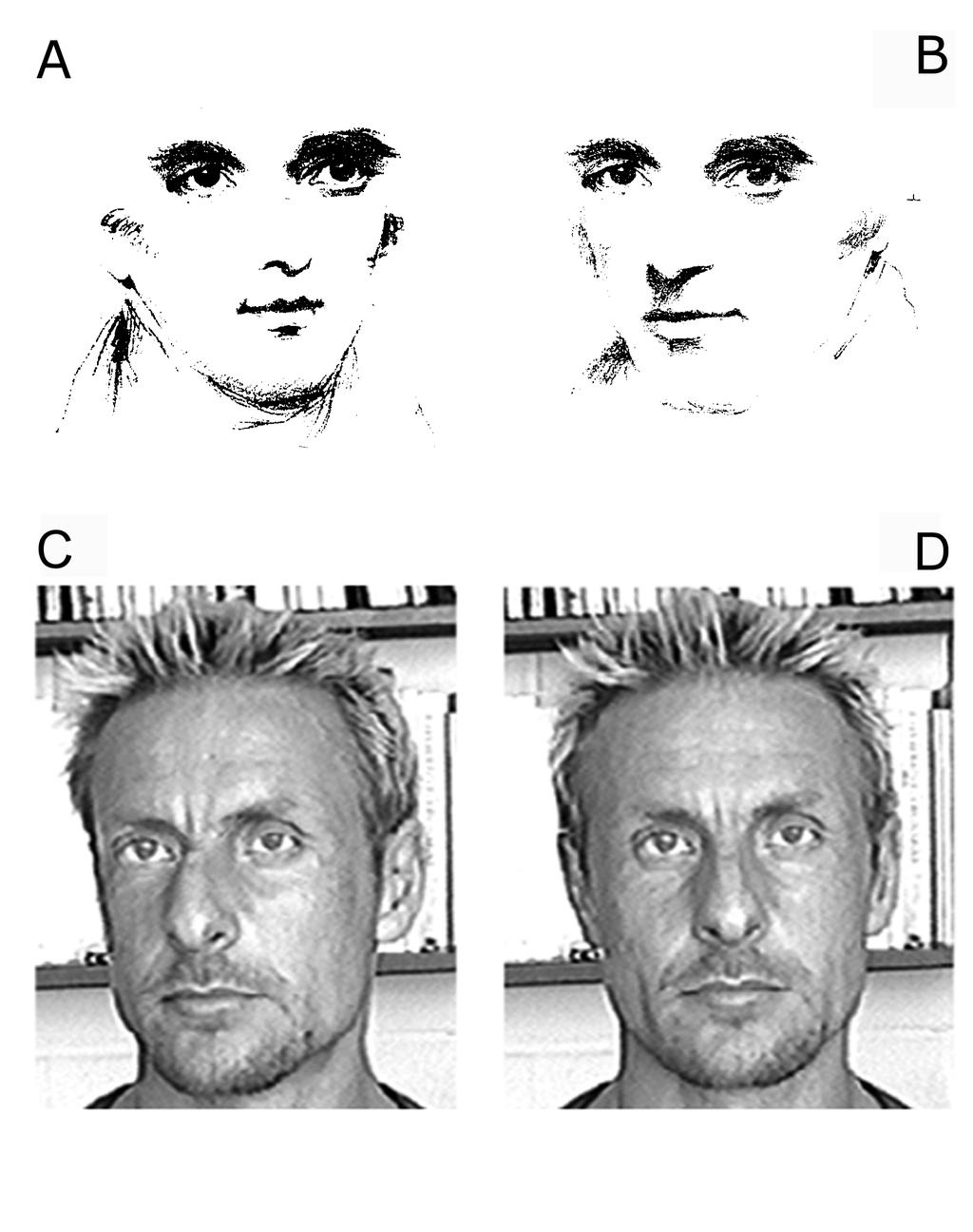 8 under these conditions, you might perceive their eyes to be gazing a little further to the left than they actually are (Anstis et al., 1969; Gibson & Pick, 1963). Figure 1.