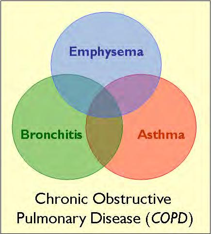 Asthma and chronic obstructive pulmonary disease (COPD) are among the ten leading chronic respiratory conditions causing restricted activity.